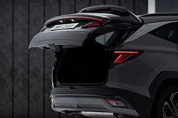  Smart Powered Trunk